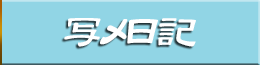 写メ日記