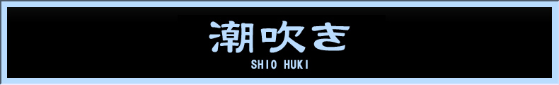 西川口 潮吹き【熟女の風俗最終章 西川口店】